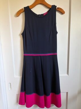 Navy and Hot Pink Sleeveless Fit-and-Flare Dress